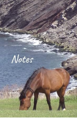 Nova Scotia Horses notebook cover
